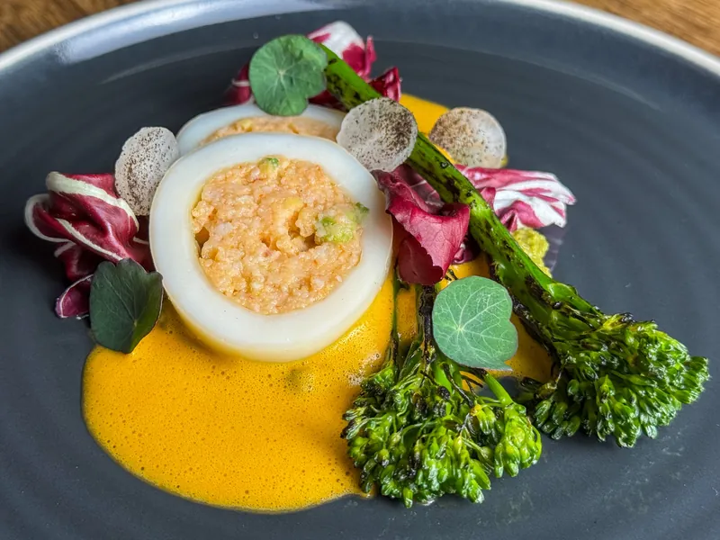 Het opgemaakte bord: Calamari rol/ rode curry saus/ broccoli mole/ broccolini/ retich/ rode sla/ zwarte limoen poeder